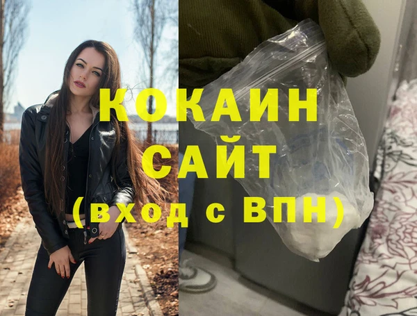 индика Пестово