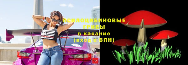 прущие грибы Комсомольск