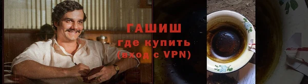 индика Пестово