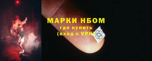индика Пестово