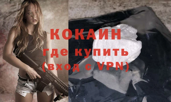 индика Пестово