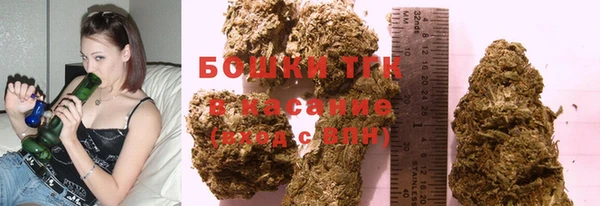 индика Пестово