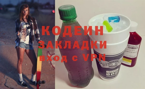 индика Пестово