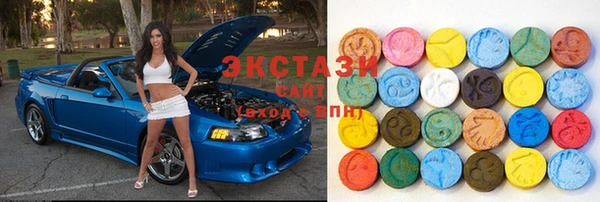 индика Пестово