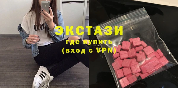 индика Пестово
