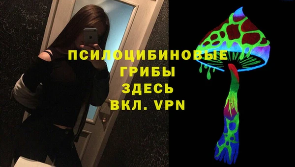 индика Пестово
