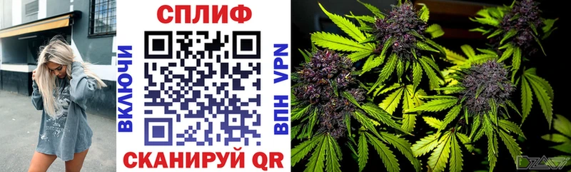 Шишки марихуана VHQ  гидра ссылка  Салаир  где купить  
